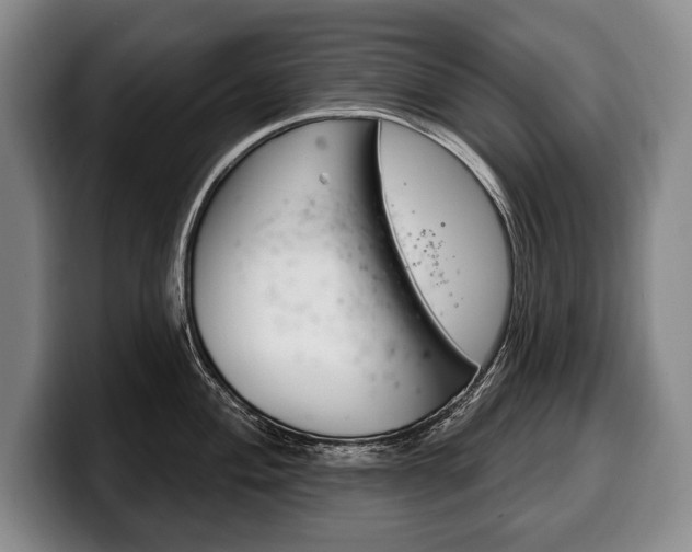 X0000100331004200806051159