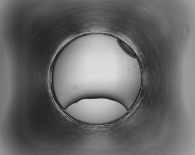 X0000100331006200806051159