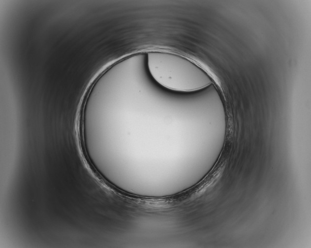 X0000100331007200806051159