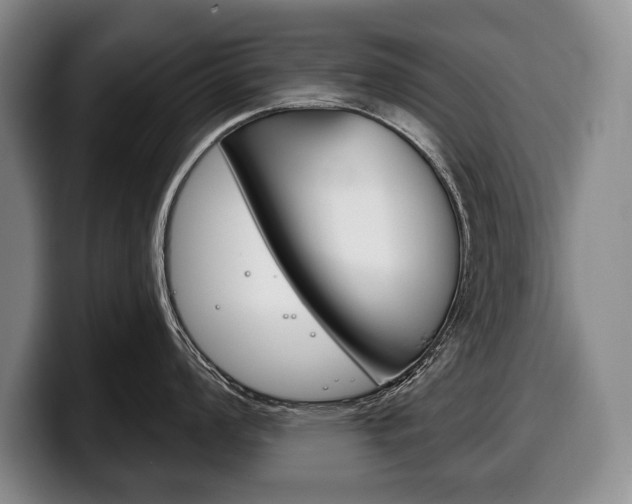X0000100331008200806051159