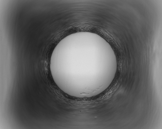 X0000100331010200806051159