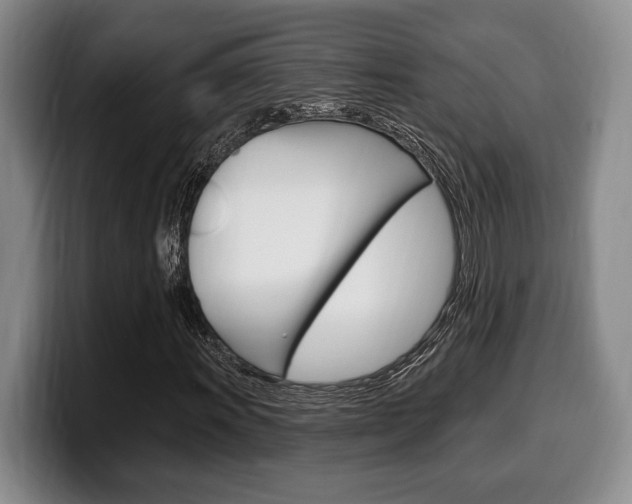 X0000100331011200806051159