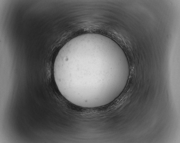 X0000100331012200806051159