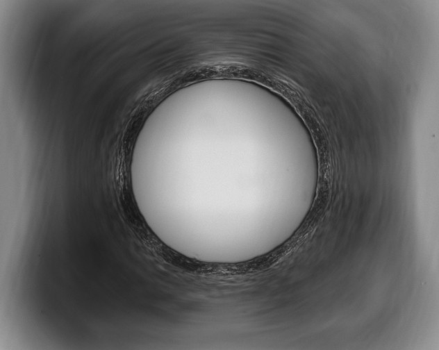 X0000100331014200806051159