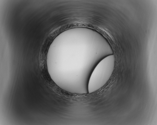 X0000100331015200806051159