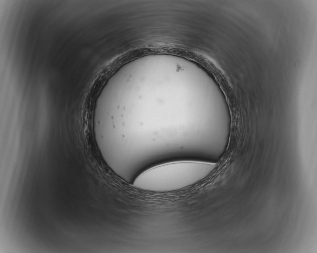 X0000100331016200806051159