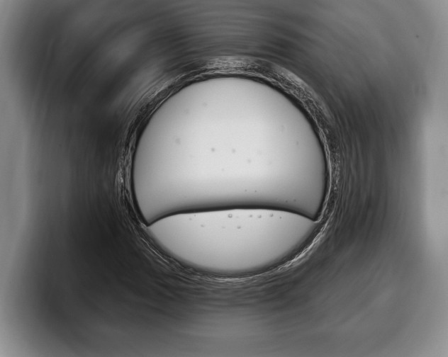 X0000100331017200806051159