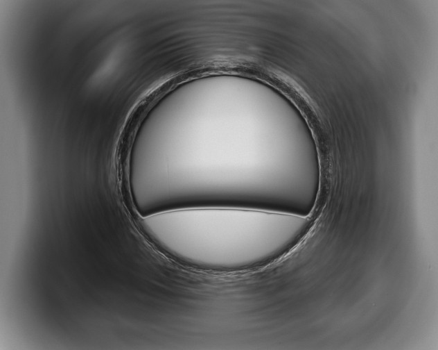X0000100331018200806051159