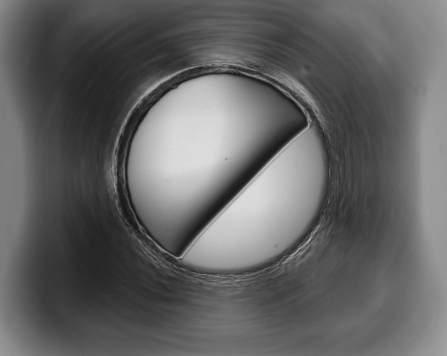 X0000100331020200806051159