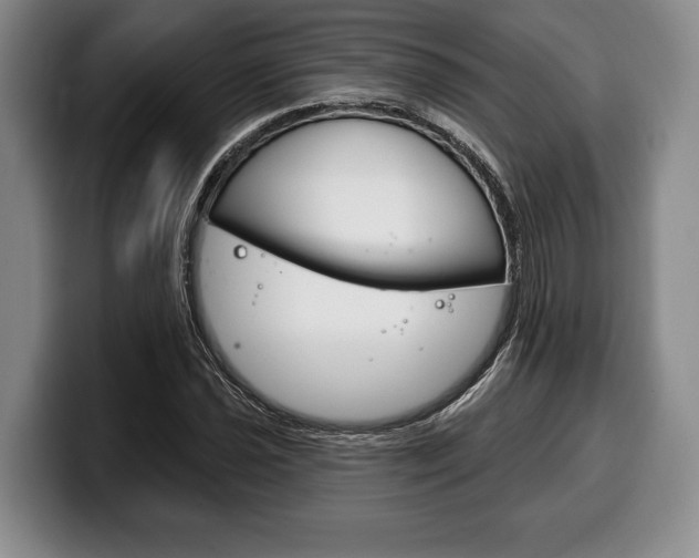 X0000100331021200806051159