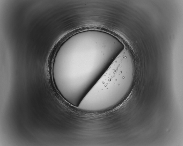 X0000100331022200806051159