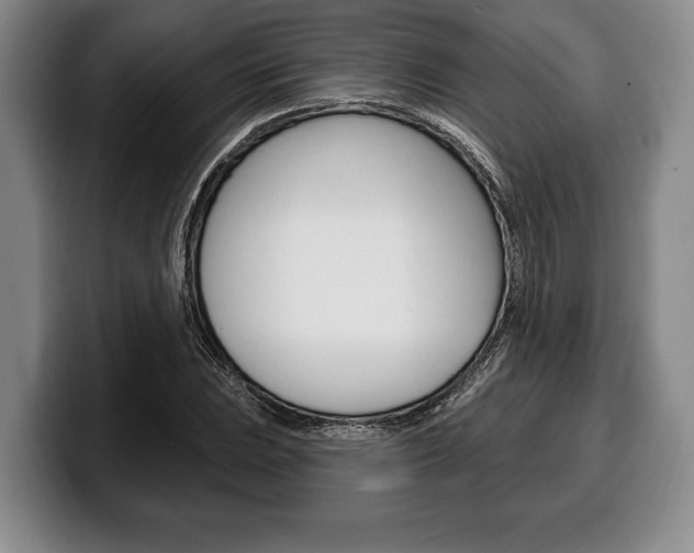 X0000100331023200806051159