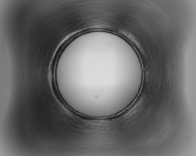 X0000100331024200806051159