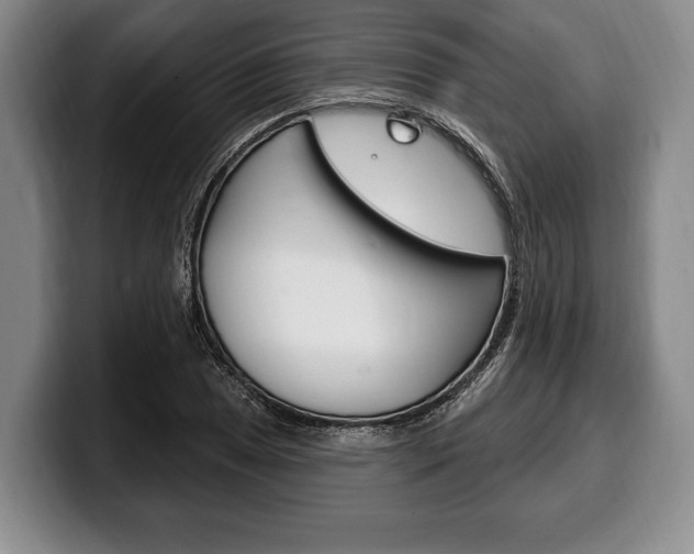 X0000100331025200806051159