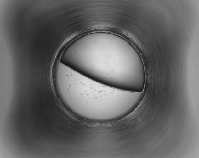 X0000100331026200806051159