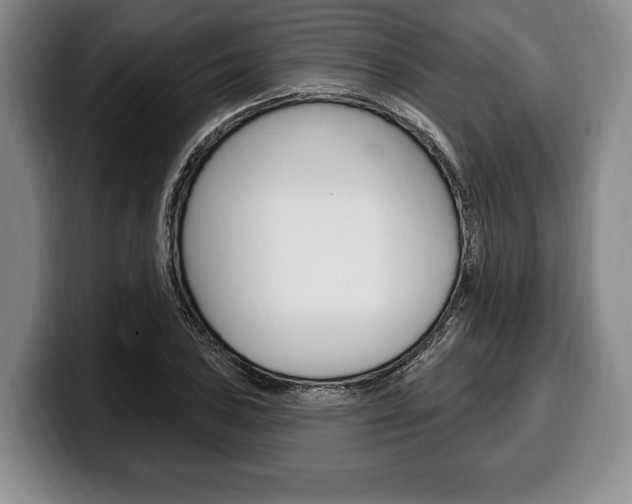 X0000100331027200806051159