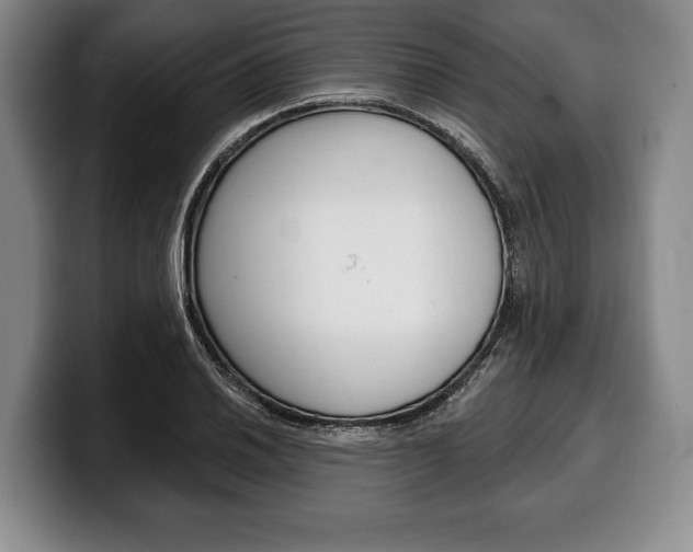 X0000100331030200806051159