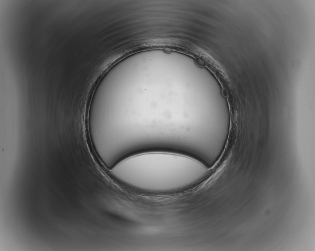 X0000100331033200806051159