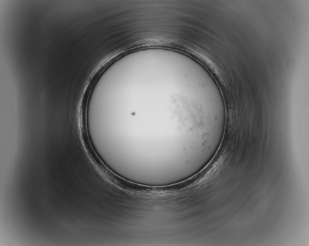X0000100331034200806051159
