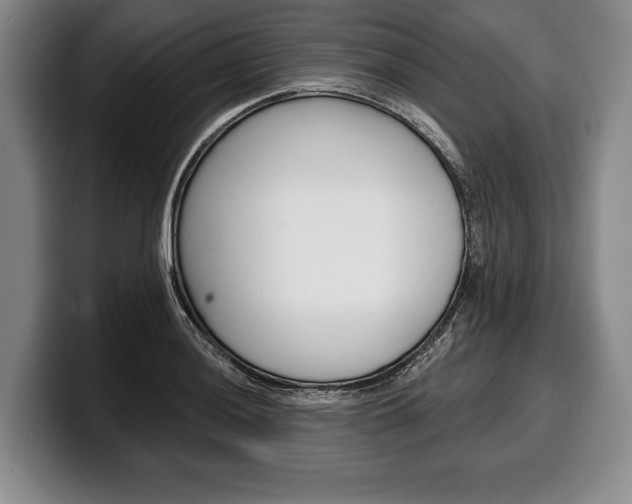 X0000100331036200806051159