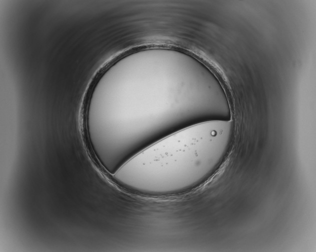 X0000100331037200806051159