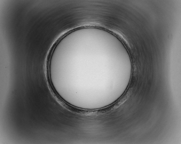 X0000100331038200806051159