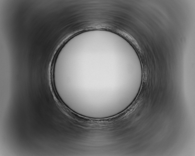 X0000100331039200806051159