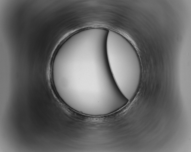 X0000100331040200806051159