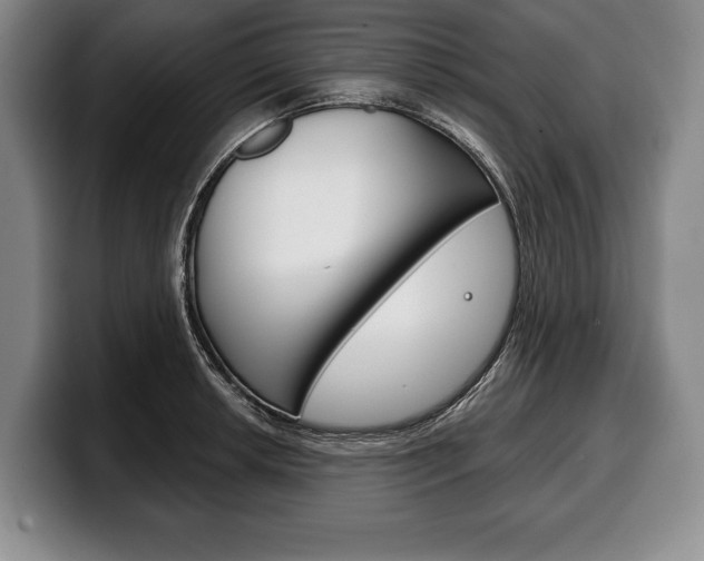 X0000100331042200806051159