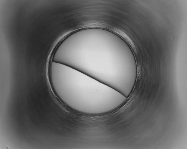 X0000100331043200806051159