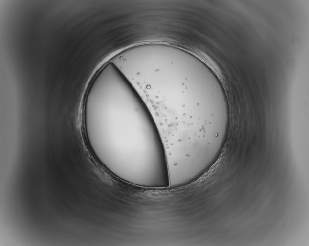 X0000100331044200806051159