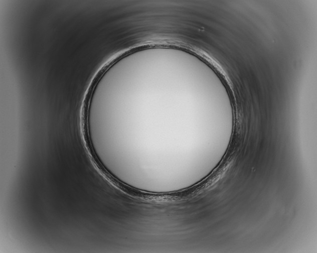 X0000100331045200806051159