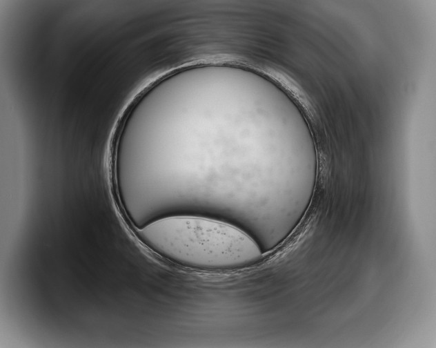 X0000100331046200806051159