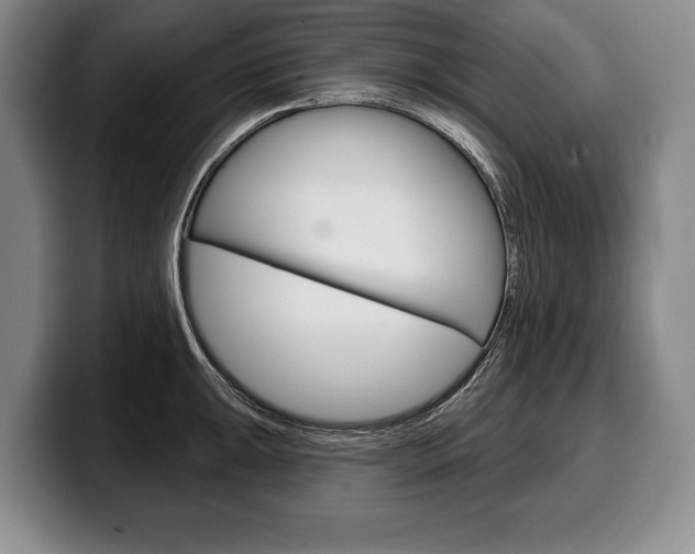 X0000100331047200806051159