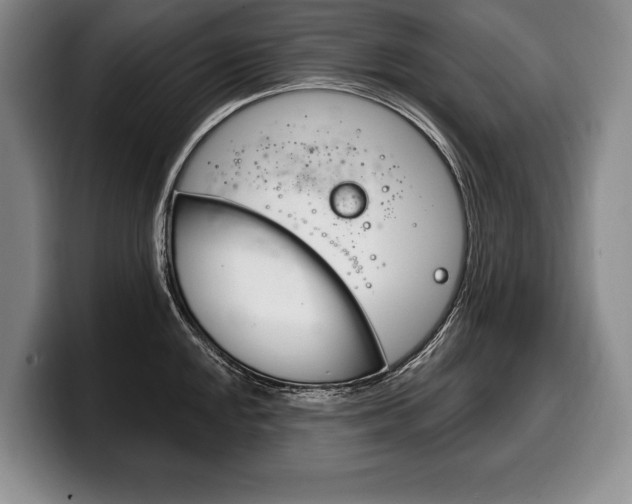 X0000100331048200806051159