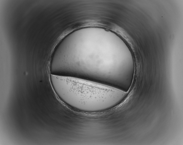 X0000100331049200806051159