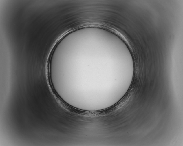 X0000100331050200806051159