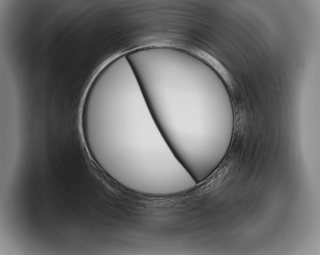 X0000100331051200806051159