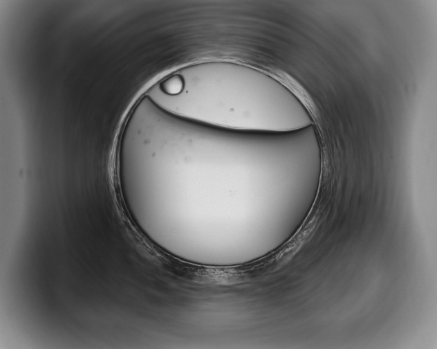 X0000100331052200806051159