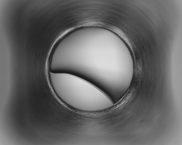X0000100331053200806051159