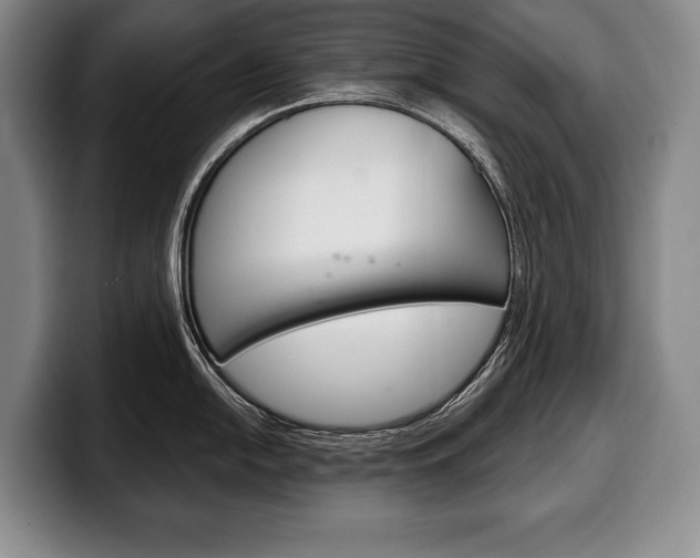 X0000100331054200806051159