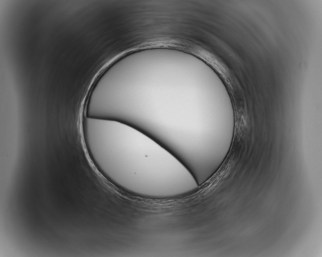 X0000100331055200806051159