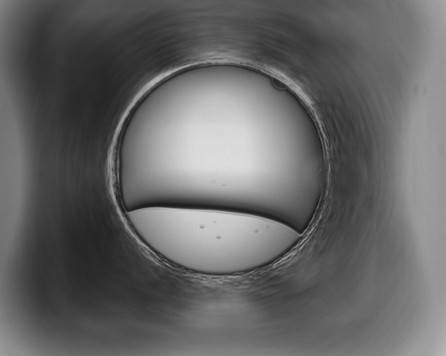 X0000100331056200806051159