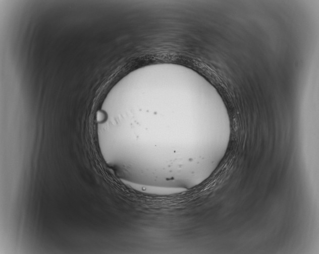X0000100331057200806051159