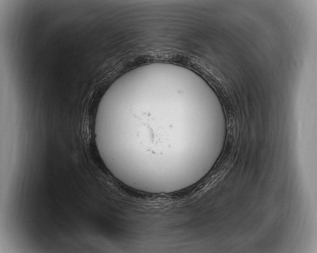 X0000100331058200806051159
