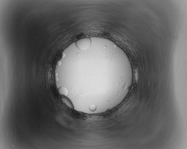 X0000100331059200806051159