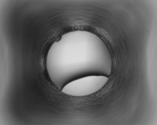 X0000100331060200806051159