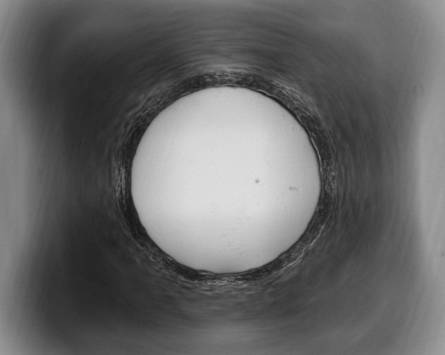X0000100331061200806051159