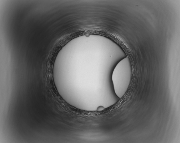 X0000100331063200806051159