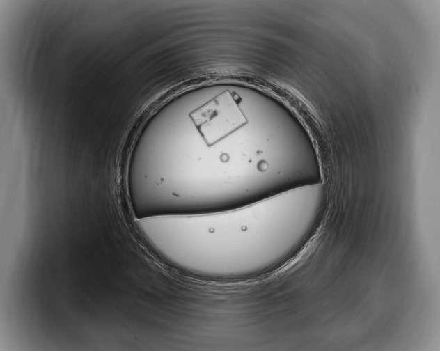 X0000100331065200806051159